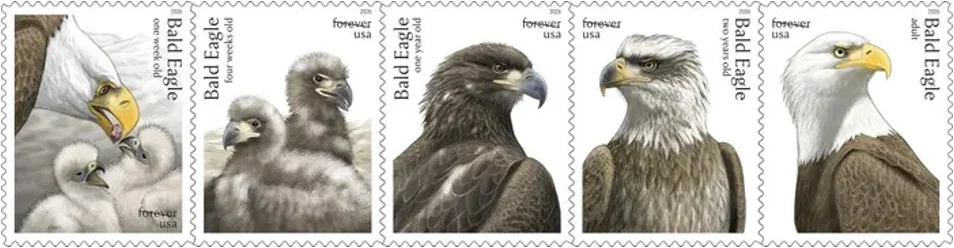 Bald Eagle stamps take flight