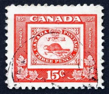 Type VI