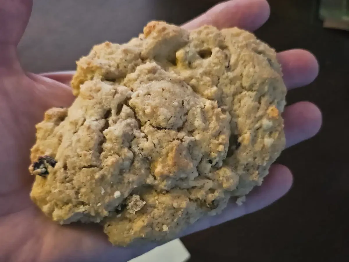 Boston Rocks - Ala Jeff Extra walnut bits